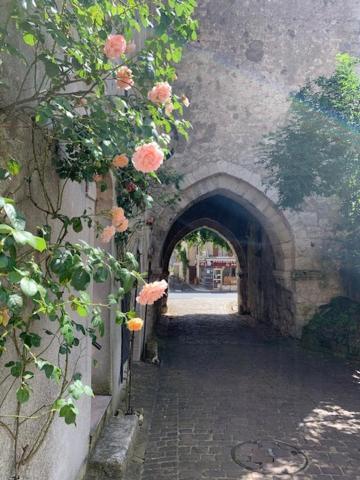 Maison Jeanne D'Arc Mennetou-sur-Cher Εξωτερικό φωτογραφία